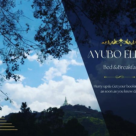 Ayubo Ella - Bed & Breakfast Экстерьер фото