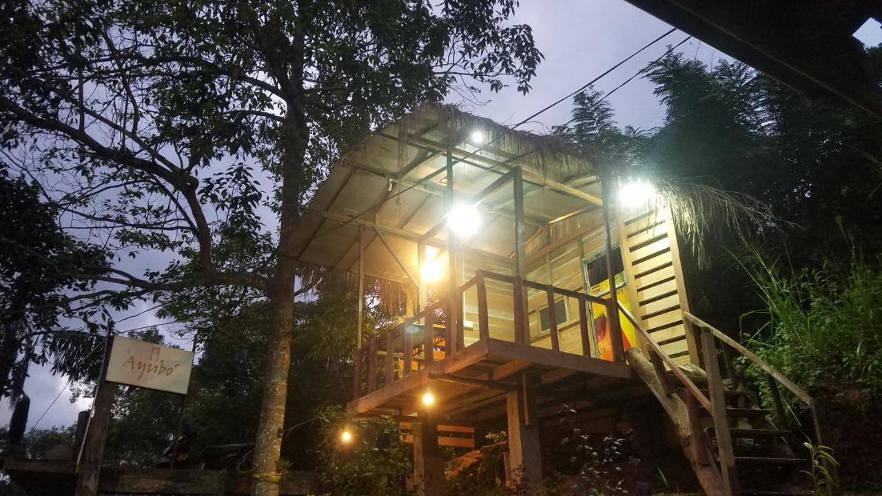 Ayubo Ella - Bed & Breakfast Экстерьер фото