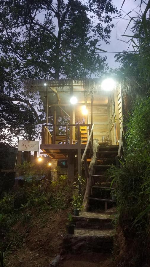 Ayubo Ella - Bed & Breakfast Экстерьер фото