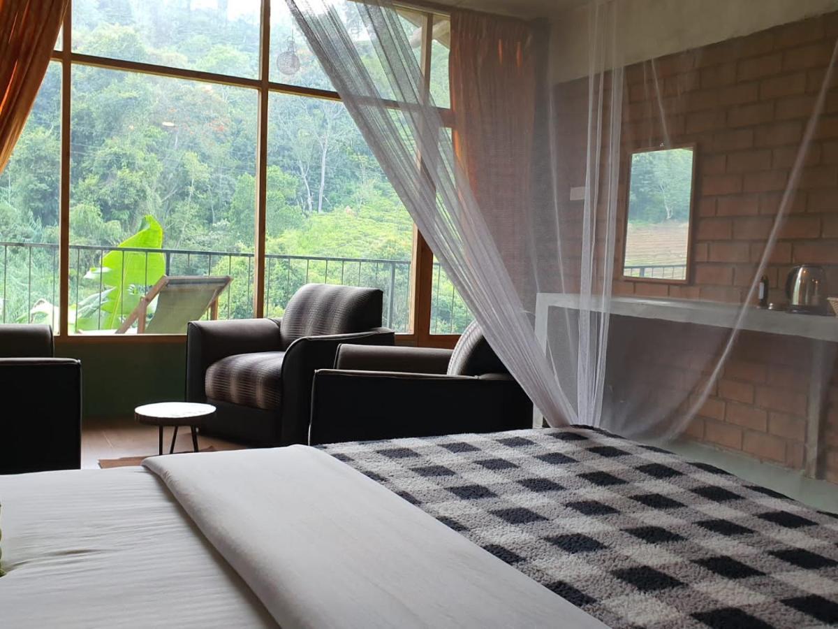 Ayubo Ella - Bed & Breakfast Экстерьер фото